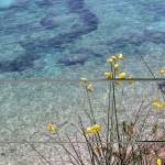 Apartmani Omis Mosor